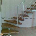 scara vang central (50)